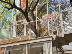 -春树下·树屋花房西餐厅(罍街AS1980店)