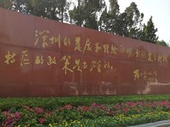 -莲花山公园