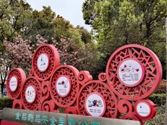 -南翔镇银翔湖公园