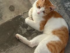 -金悦足道(宝岗大道店)