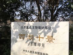 -西湖游船