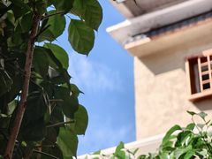 -荔园小馆(园岭新村二期店)