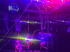 -俄罗斯国家大马戏团