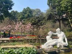 -南山植物园