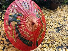 -小草屋轰趴馆别墅派对新场团建家庭聚会