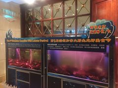 -圣廷苑酒店-世纪楼菲苑自助餐厅