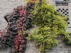 -回龙窝历史文化街区