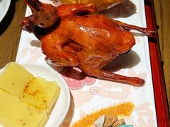 -大鸽饭(岗顶店)