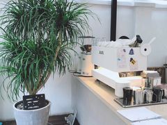 -Willing·Coffee&Brunch&Dinner(万达店)