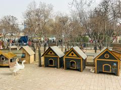 -保定市动物园