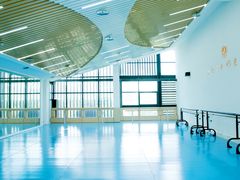 教室-西安小天鹅艺术团(曲江Alice店)