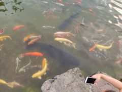 景点-南京银杏湖乐园