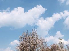 -两河城市森林公园