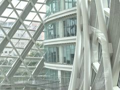 -凤凰中心