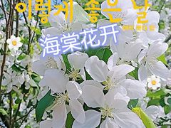 -鹏欣水游城