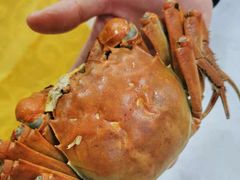 -芸海阁·农家私房菜(沙家浜景区出口店)