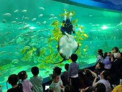 -苏州海洋馆