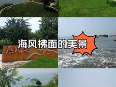 -燕儿岛山公园