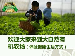-大自然农场蔬菜草莓采摘园