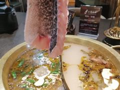 -土著渔匠·养生蝴蝶鱼(香樟路店)