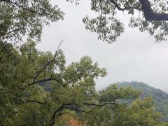 -上坦村