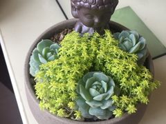 -李村大集