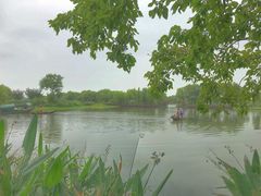 -长兴太湖图影湿地文化园