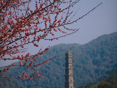 -天台山国清景区(国清寺)