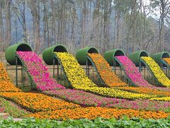 -广州市石门国家森林公园