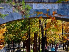 -白水寺森林公园
