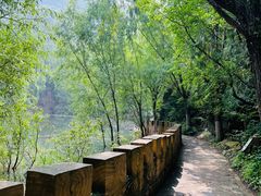 -灵溪风景区