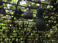 iphone_upload_pic-杭州世外桃源君澜度假酒店