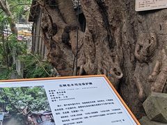 -土城古镇