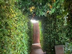 -顶层酒吧ROOF(上海艾迪逊酒店)