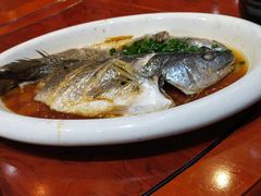 -半岛公馆(淞兴西路店)