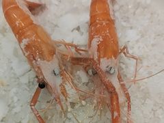 -新兴家喻酒家·羊城名宴(昌岗店)