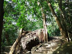 -七仙岭温泉国家森林公园