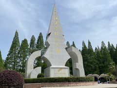 -水杉园