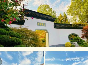 满园桂花飘香.秋季必打卡