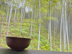 -大唐贡茶院