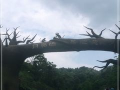 -梅岭月亮湾山体公园