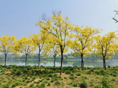 -东郊湿地公园