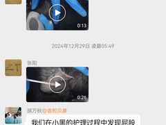 -谐和贝康宠物医院24小时·宠保定点(急重症转诊中心)