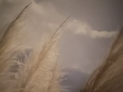 -帝姬健康·泡浴·水疗·轻奢SPA梦浴养生(金沙财大店)