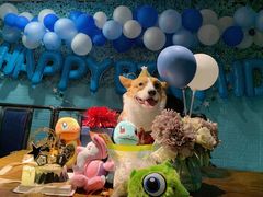 -百好乐宠物友好餐厅(朝外大街店)