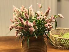 -剪刀石头布家居广场