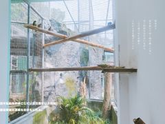 -成都动物园