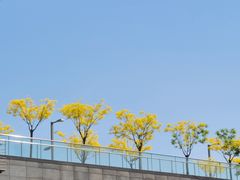 -北京奥林匹克公园