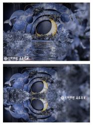 -花轿喜屋婚礼策划