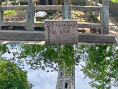 -上海佘山国家森林公园天马山园